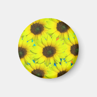 Imán Magnet mit gelben kleinen Sonnenblumenblüten