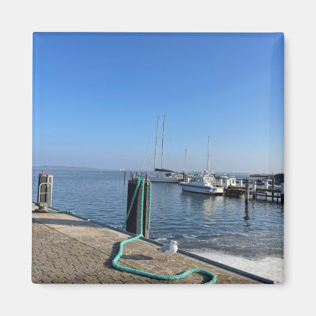 Imán Magnet mit Möwe am Hafenufer (Frente)