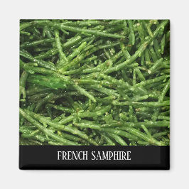 IMÁN MAGNET - MUESTRA FRANCESA