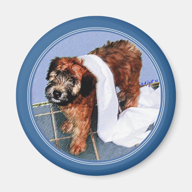 Imán Magnet: "¡No fui yo!" (Frente)