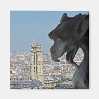 Imán Magnet: Notre-Dame de París - Gargoyle