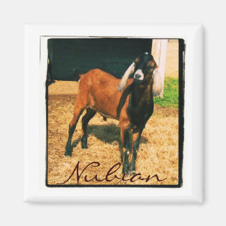 Imán Magnet nubio - Plaza