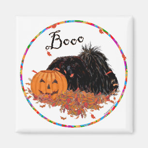 Imán Magnet pekingés