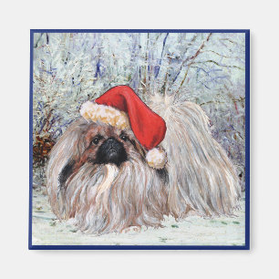 Imán Magnet pekingés