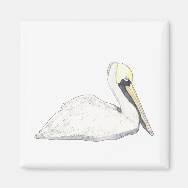 Imán Magnet Pelican (Frente)