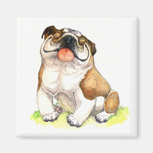 Imán Magnet Personalizado de perro porcino Bulldog ingl