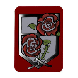 Imán Magnet photo flexible