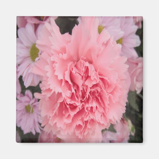 Imán Magnet Pink Carnation Beauty (Frente)