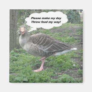 Imán Magnet Poem Duck Cita Ladee Basset