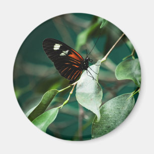 Imán Magnet Postman 184