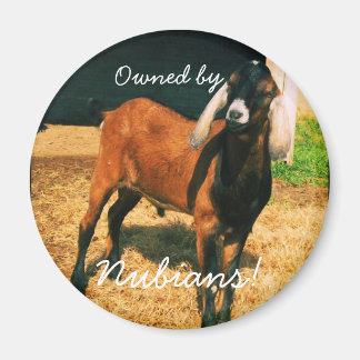 Imán Magnet - ¡Propiedad de los nubios!