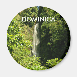 Imán Magnet redondo estándar de 2¼ pulgadas