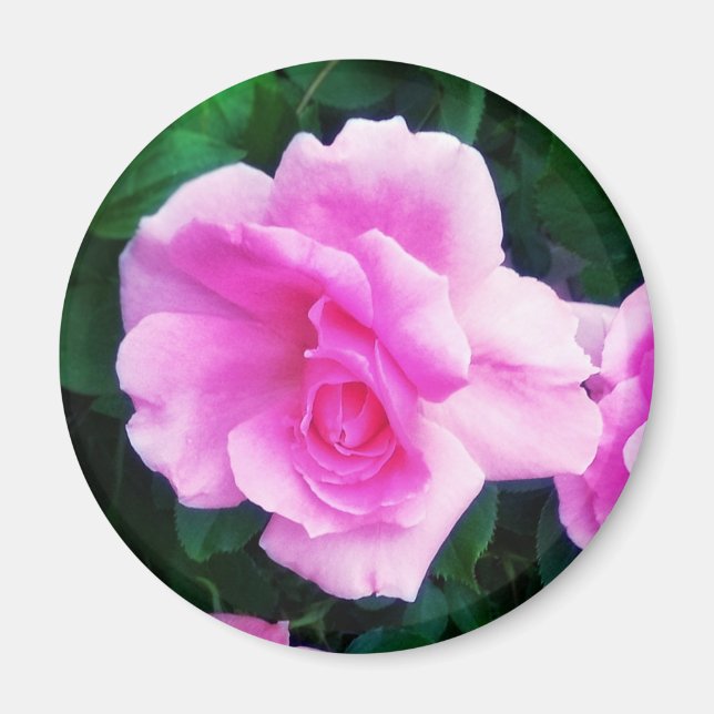 IMÁN MAGNET ROSA (Frente)