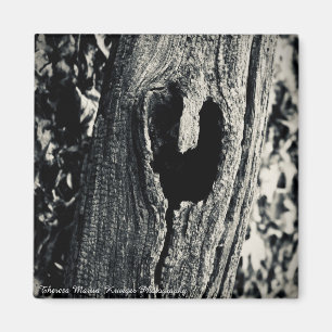 Imán Magnet "Sigue tu corazón"