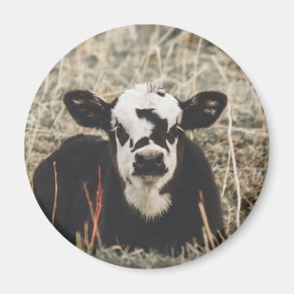 Imán Magnet - Spring Calf