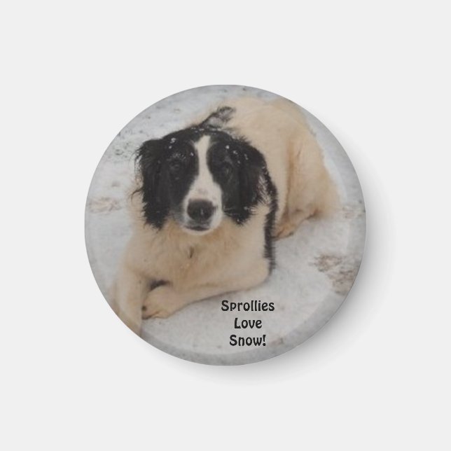 Imán Magnet Sprollie In The Snow (Frente)