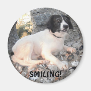 Imán Magnet Sprollie VIsiting Castle Smiling