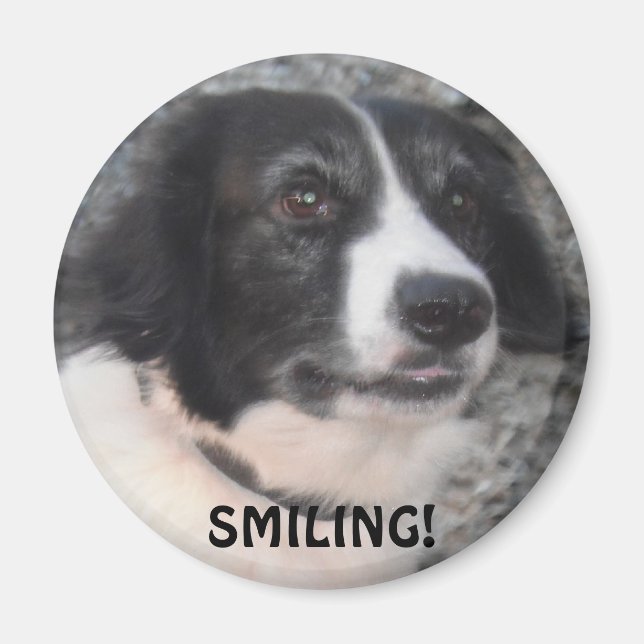 Imán Magnet Sprollie VIsiting Castle Smiling (Frente)