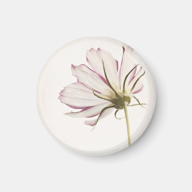 Imán Magnet "Stand in the Light" (Frente)