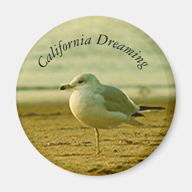 Imán Magnet - Sueño de gaviota (Frente)