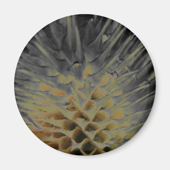 Imán Magnet Supernova de hierba silvestre (Frente)