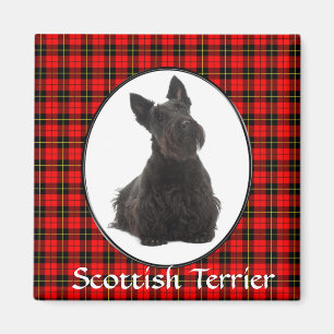Imán Magnet Terrier de Escocia