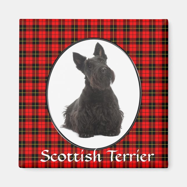 Imán Magnet Terrier de Escocia (Frente)