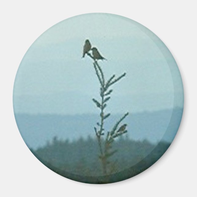 Imán Magnet - Top of World (Frente)