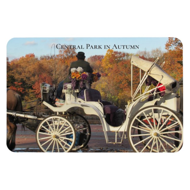 Imán Magnet - Transporte en el Parque Central de Nueva  (Horizontal)