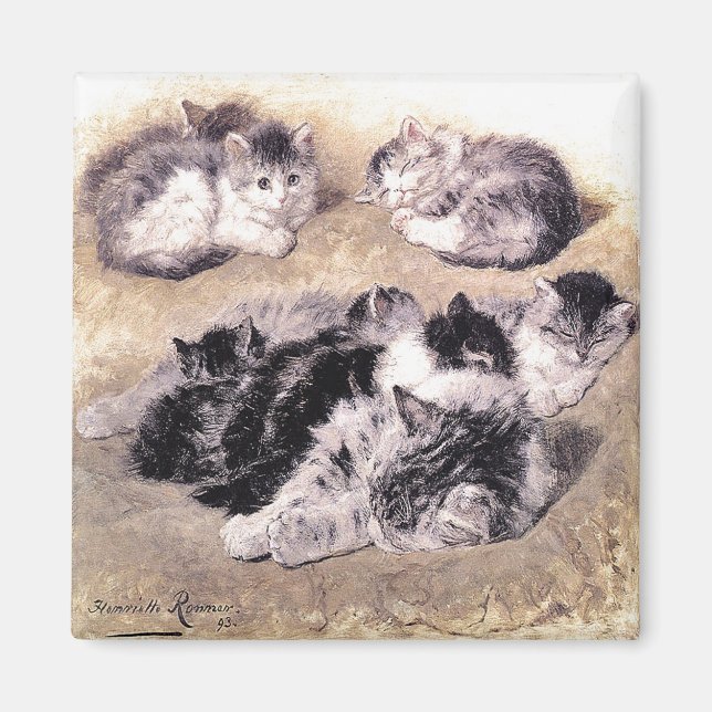 Imán Magnet: Un estudio de los gatos (Frente)