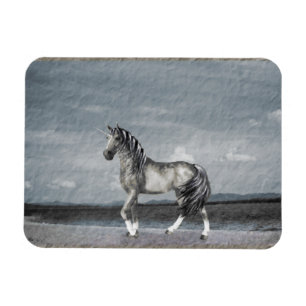 Imán Magnet Vinyl Lake Guardian