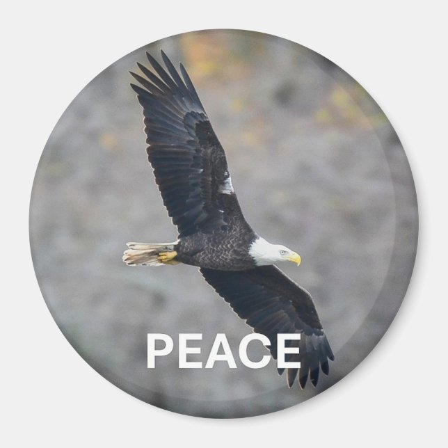 Imán Magnet with Bald Eagle picture and the word Peace (Frente)