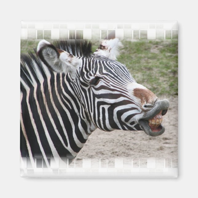 Imán Magnet zebra sonriente (Frente)
