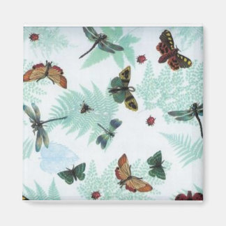 IMÁN MAGNETO DE MARCA DE BOTTERO