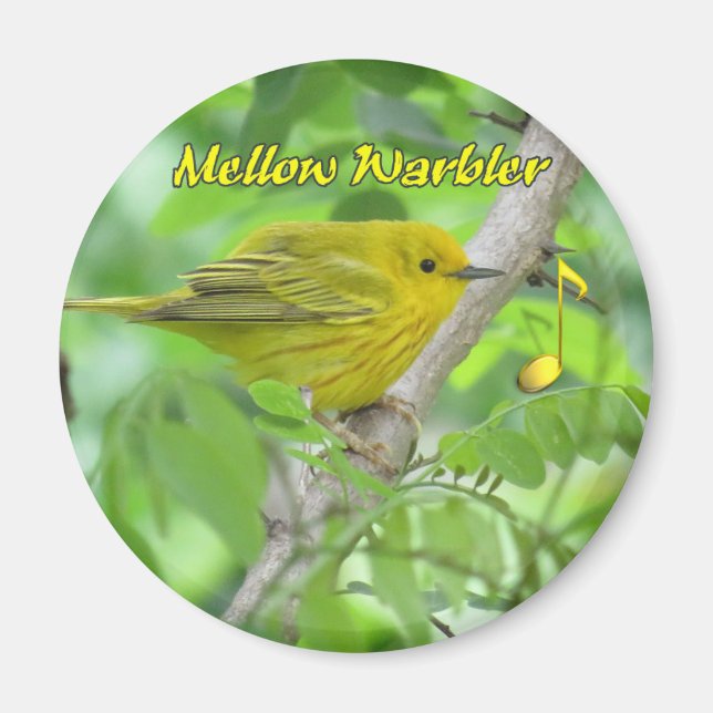 Imán Magnetoscopio amarillo (Mellow) (Frente)