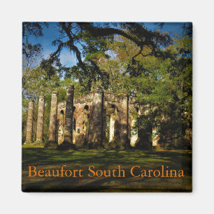 Imán magnetoscopio belfort de Carolina del Sur