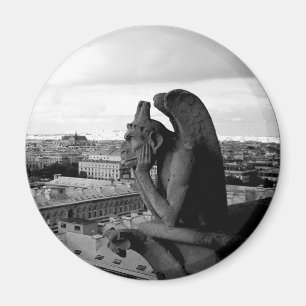 Imán Magnetoscopio circular de Notre Dame Vintage