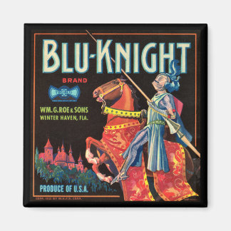 Imán Magnetoscopio de canal de frutas Blu-Knight de KRW