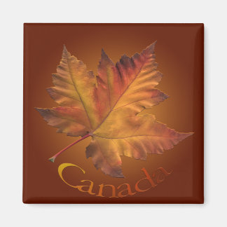 Imán Magnetoscopio de hojas de maple de la nevera de re