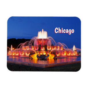 Imán Magnetoscopio de la Fundación Chicago Buckingham