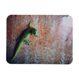 Imán Magnetoscopio Verde Gecko Flexi