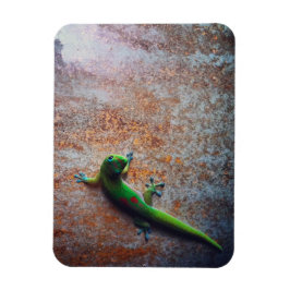 Imán Magnetoscopio Verde Gecko Flexi