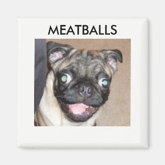 IMÁN MAGNETS DE MEATBALLS