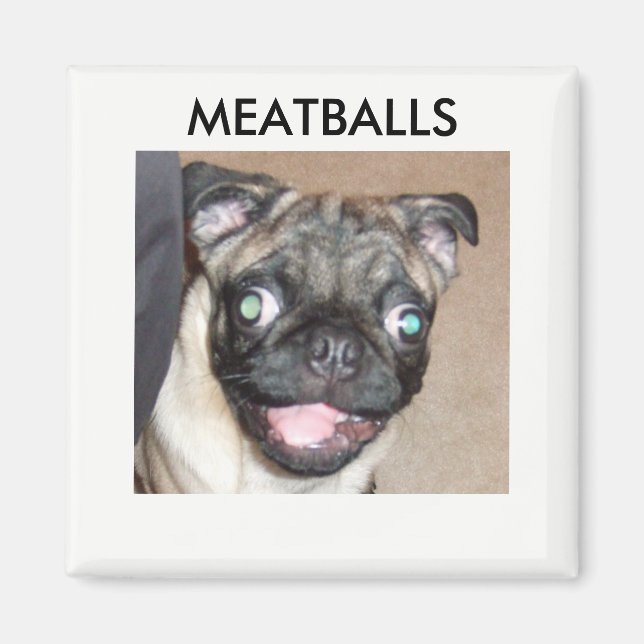 IMÁN MAGNETS DE MEATBALLS (Frente)