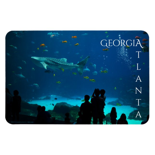 Imán Magnífica Atlanta Georgia (Horizontal)