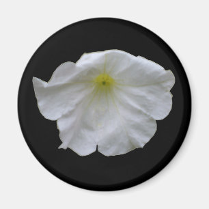 Imán Magnífico blanco Petunia