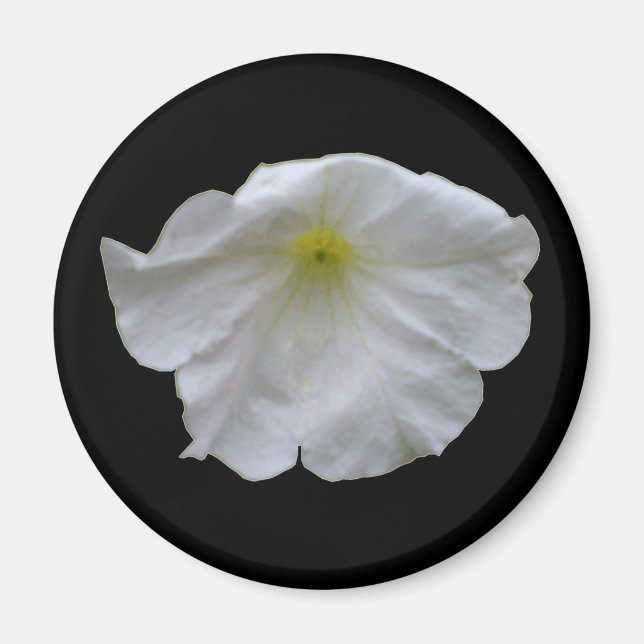 Imán Magnífico blanco Petunia (Frente)