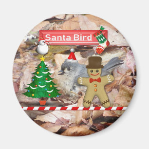Imán Magnífico de aves de Santa Claus