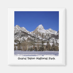 Imán magnífico del parque nacional de Teton