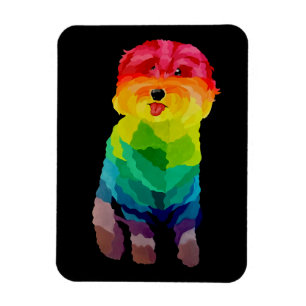 Imán Magnífico flexible arcoiris Pepita